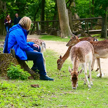 Visites de parcs et reserves naturelles