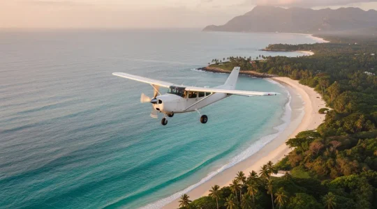 Vue aérienne d'un petit avion survolant la côte caribéenne de République dominicaine avec plages de sable blanc et eau turquoise