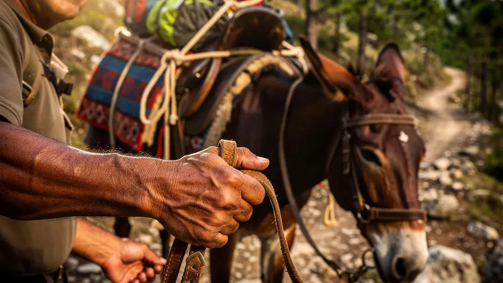 Mule chargée de sacs de randonnée sur un sentier escarpé de montagne dominicaine