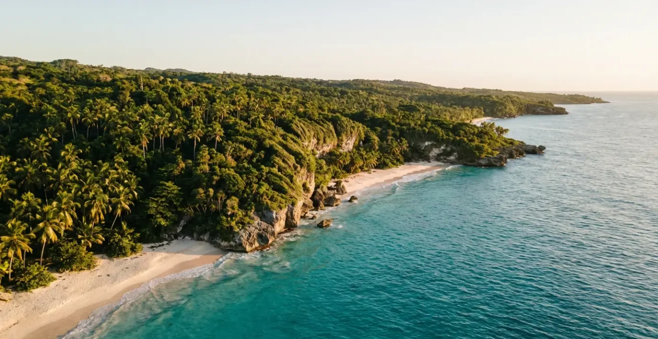 Vue aérienne de plages sauvages dominicaines avec végétation luxuriante et eaux turquoise cristallines