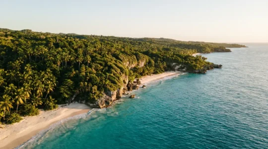 Vue aérienne de plages sauvages dominicaines avec végétation luxuriante et eaux turquoise cristallines