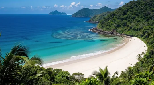 Vue aérienne de Playa Rincon avec ses eaux turquoise et sa plage de sable blanc bordée de palmiers