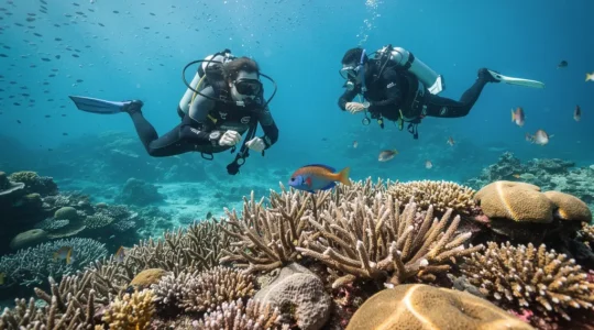 Plongeurs évoluant en flottabilité neutre au-dessus d'un récif corallien coloré en République dominicaine